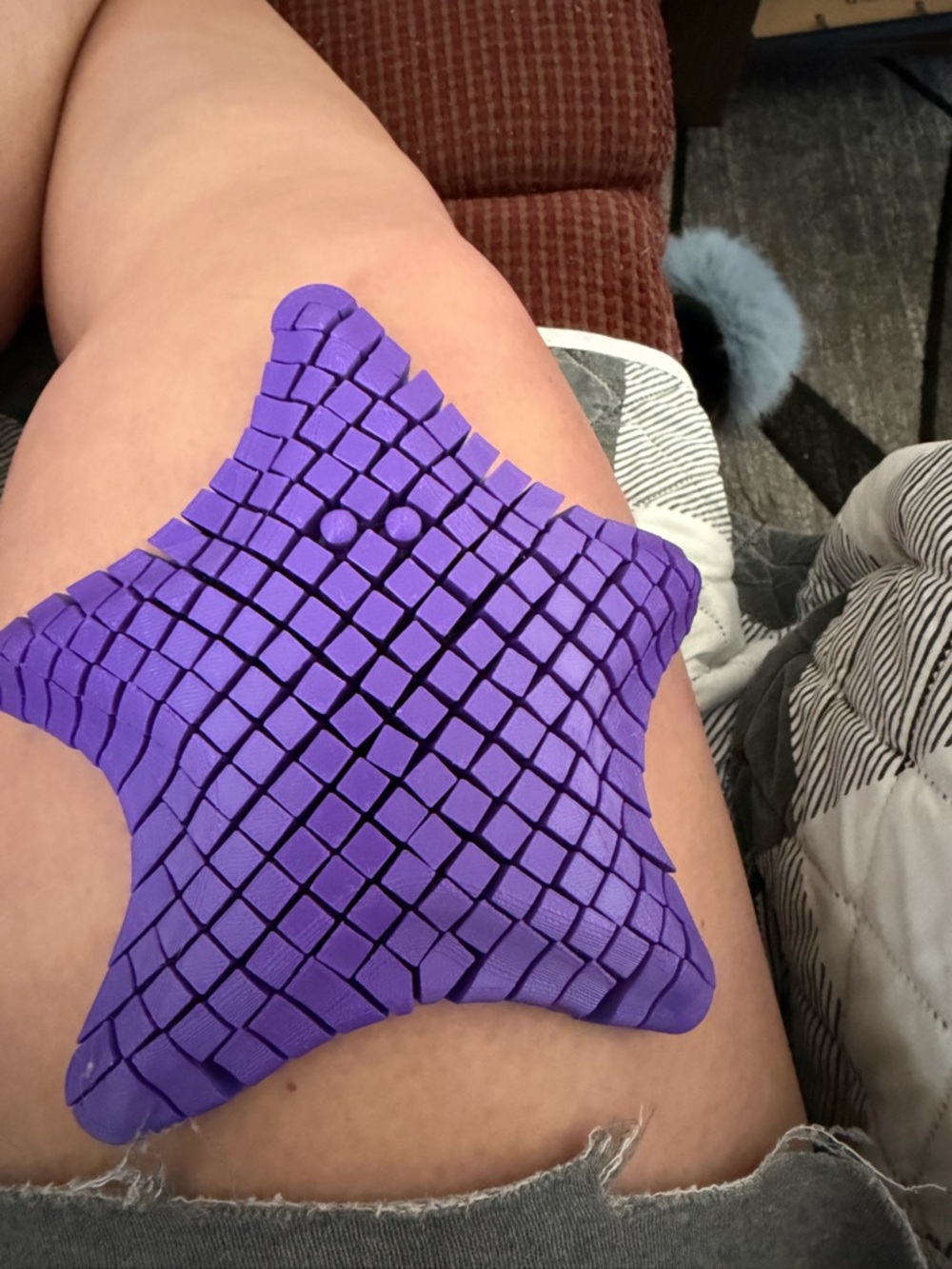 Purple Starfish Fidget